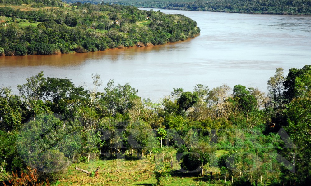 Realizarán una limpieza en las márgenes del río Uruguay