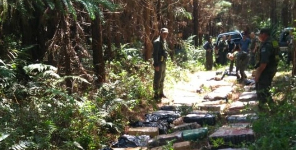 77% de la marihuana hallada en la región fue secuestrada en Misiones
