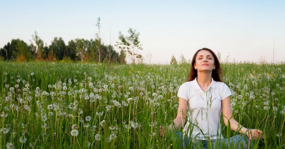 Es posible modelar el cerebro
