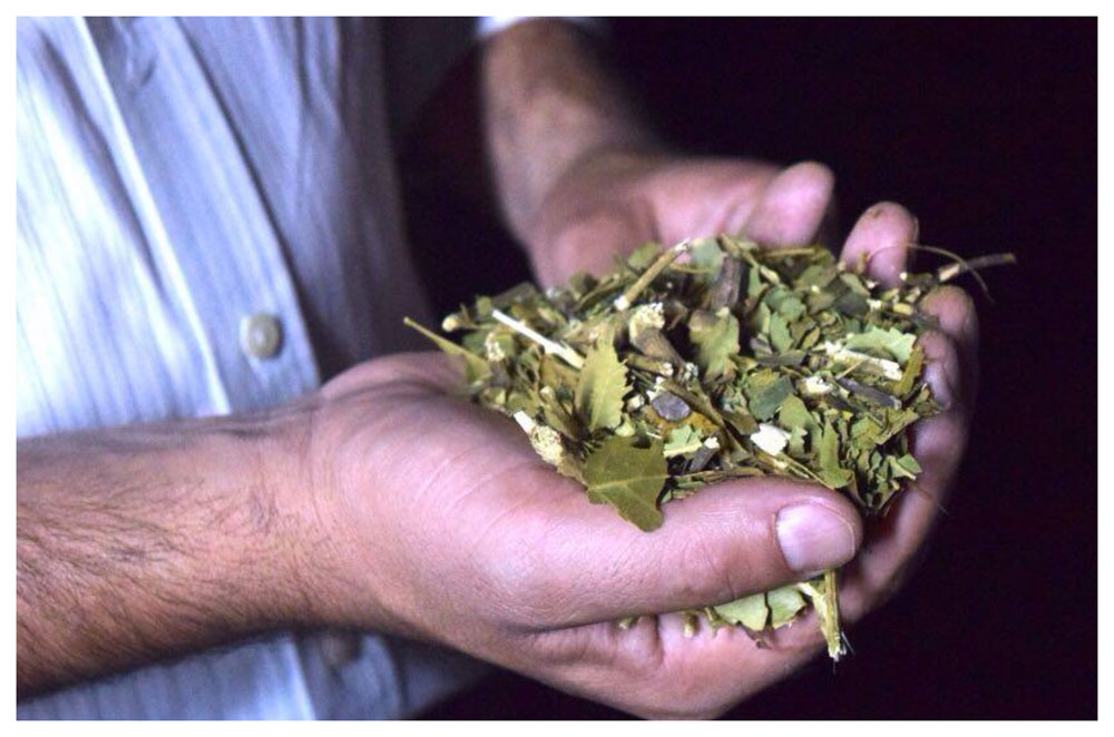 Concurso “El Mate y la Yerba Mate”, Oscar Alberto López