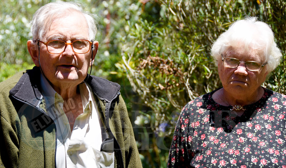 Apóstoles celebra la 40º edición de la Fiesta de la Yerba Mate