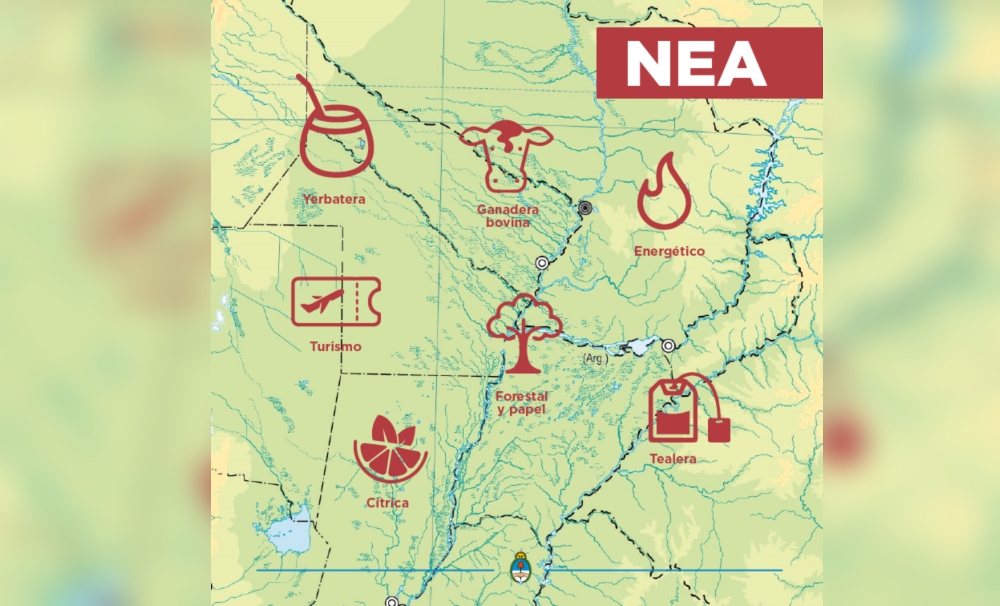 Faltan más carreras afines al empleo actual del NEA