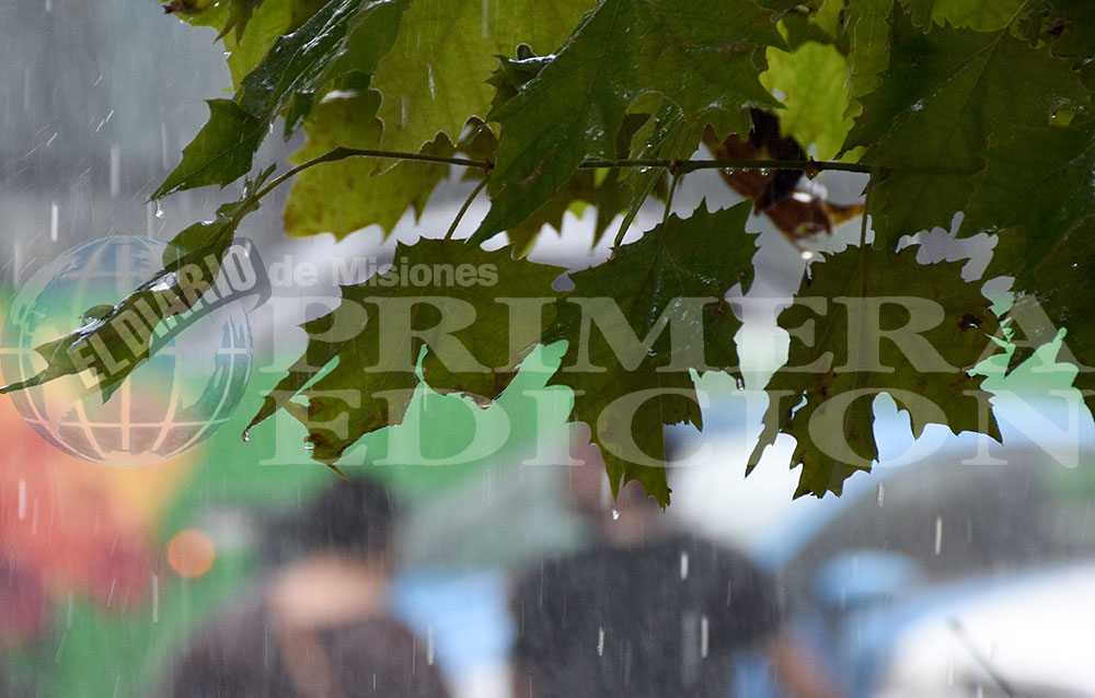 Meteorología: anuncian chaparrones y tormentas para las próximas horas