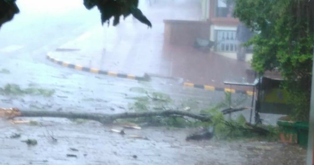 El viento y la lluvia afectaron algunos sectores de Alem