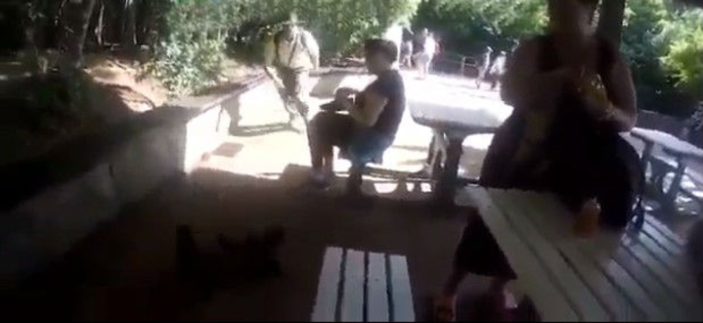 Guardaparque que pateó a mono sigue trabajando