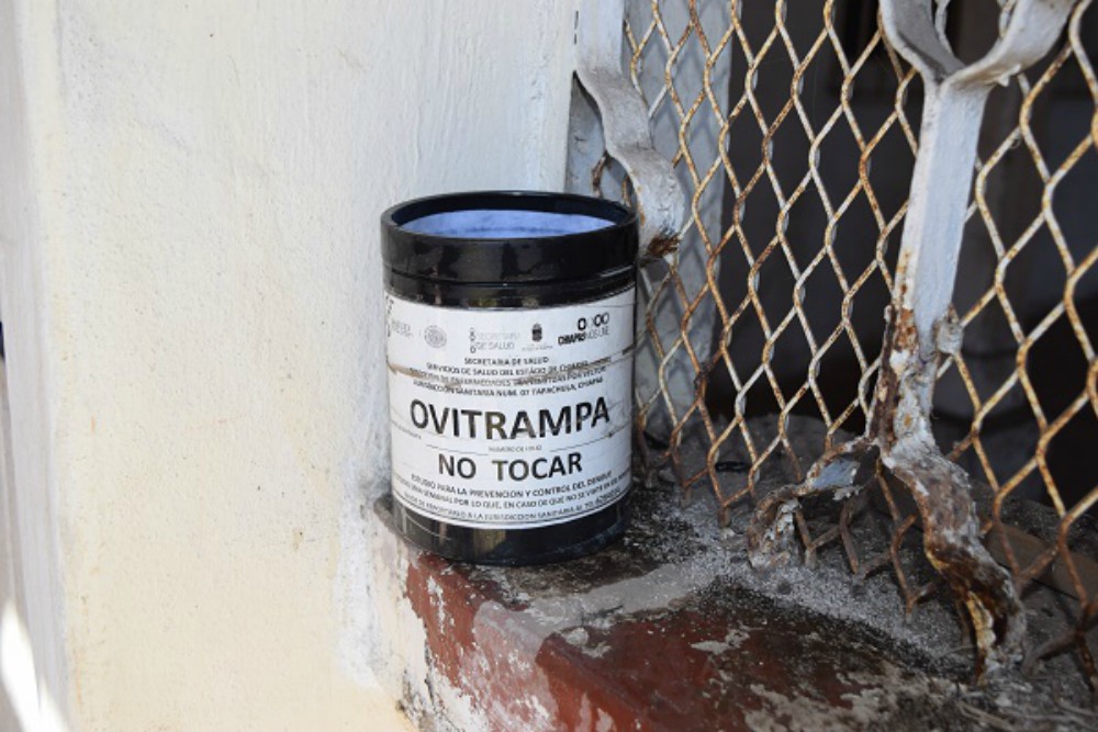 Destacan funcionamiento de las ovitrampas en la lucha contra el dengue