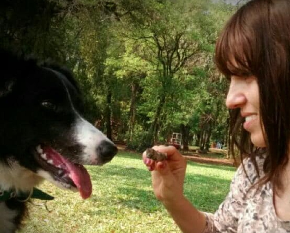 “Los perros nunca mueren, duermen en tu corazón”