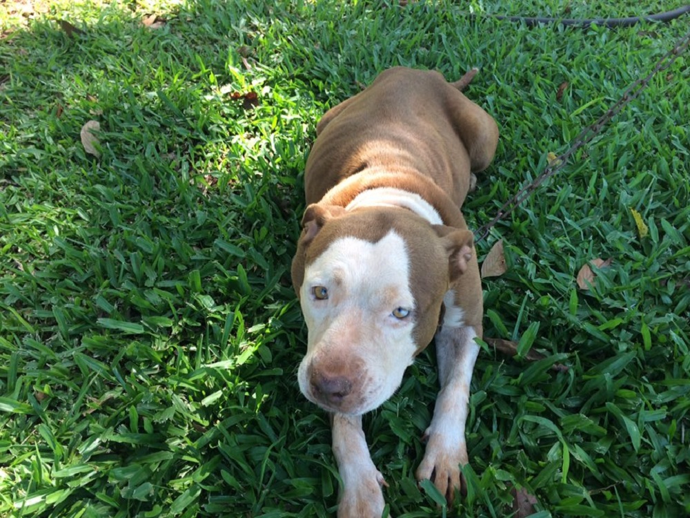 Flopy fue recuperada tras un año de búsqueda