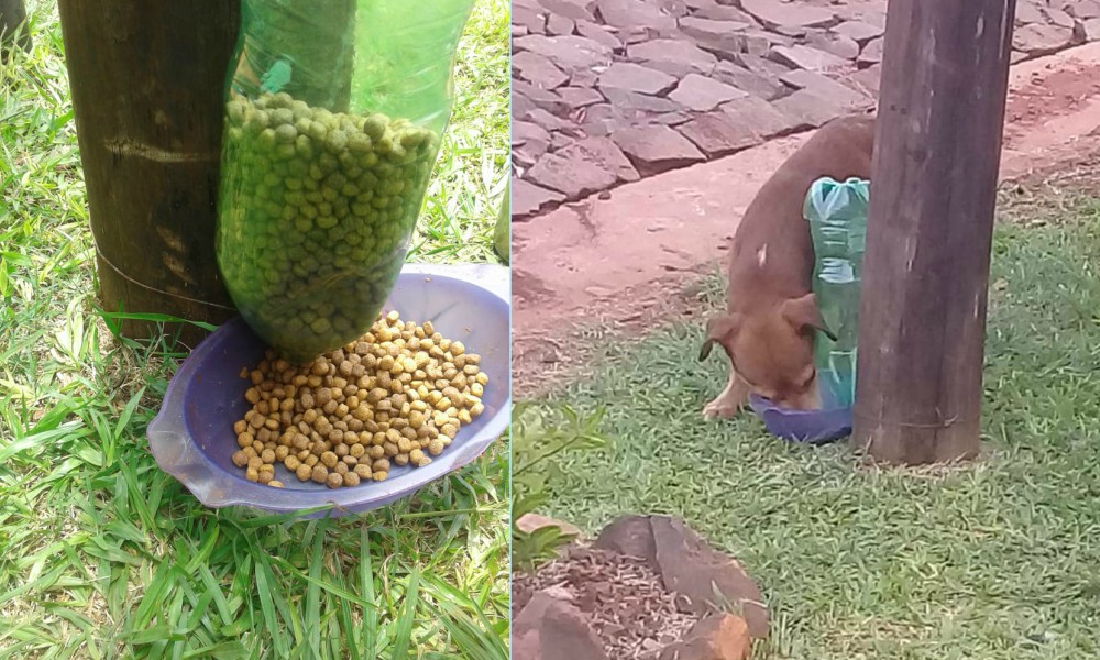 Vecinos de Alem colocan alimentadores comunitarios para perros