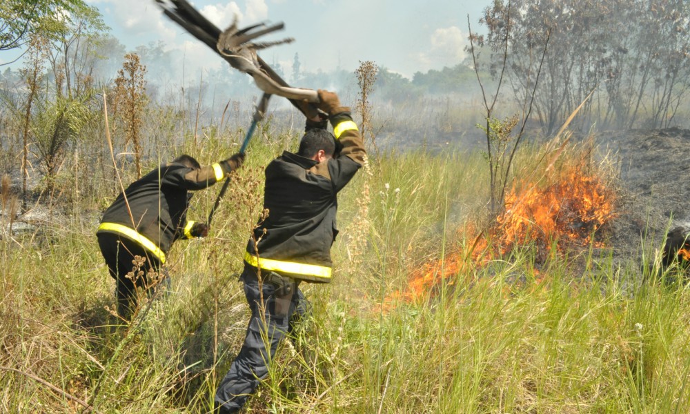 La ola de calor moderada permanecerá en la región hasta el martes