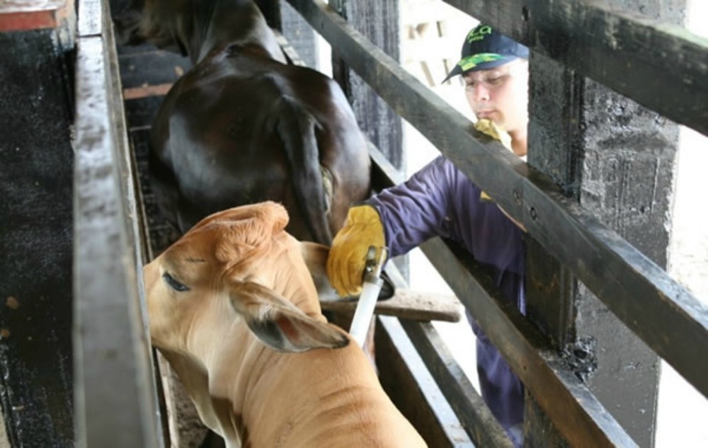 Advirtieron pérdida millonaria por problemas sanitarios