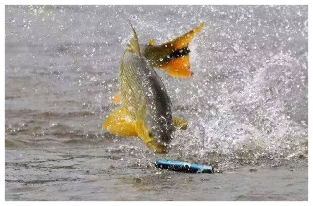 En el Pira Pytá, arrancó la escuela de pesca