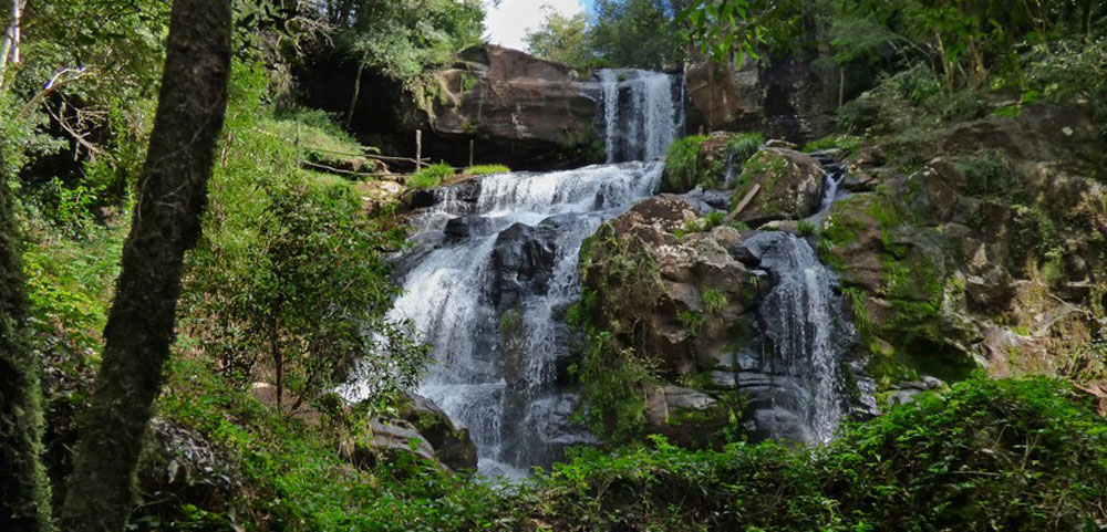 Crecimiento de visitas  durante la Navidad