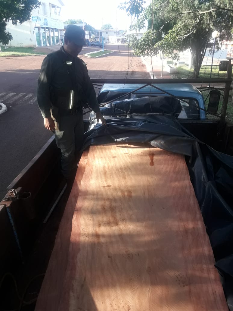 Detectan otro desmonte ilegal en el Noroeste