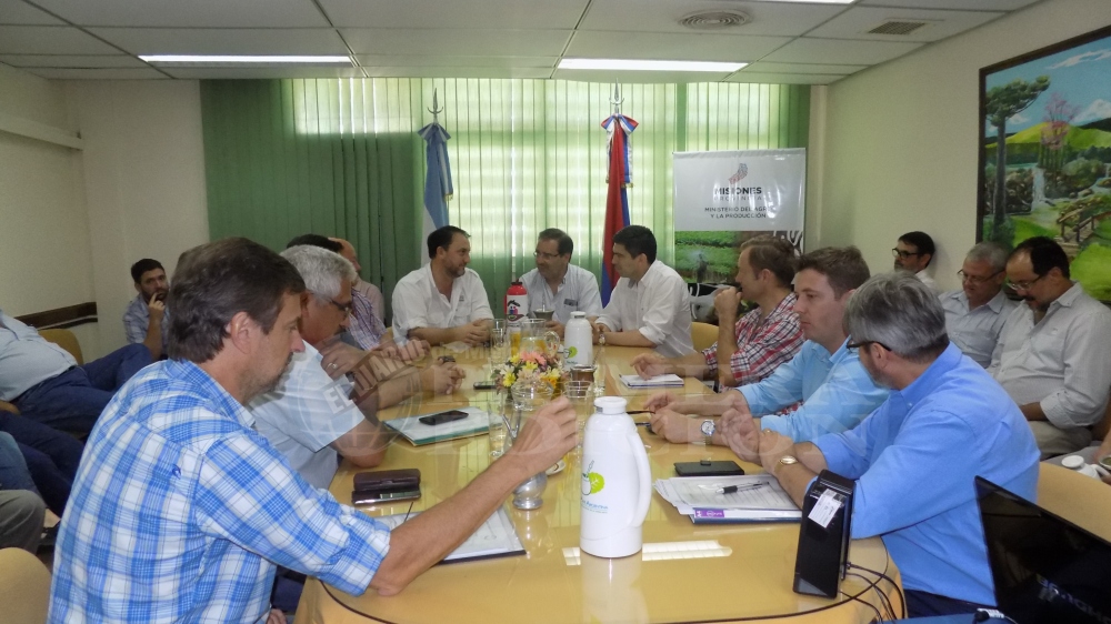 Preocupa la degradación de los suelos para cultivos en Misiones