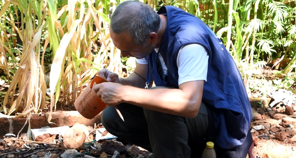 LIRAa: ya se inspeccionaron unas 7.000 casas posadeñas