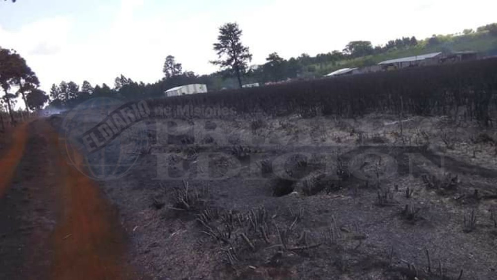 El calor propicia incendios forestales