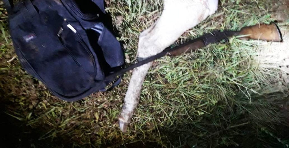 Nuevo caso de abigeato en Nemesio Parma