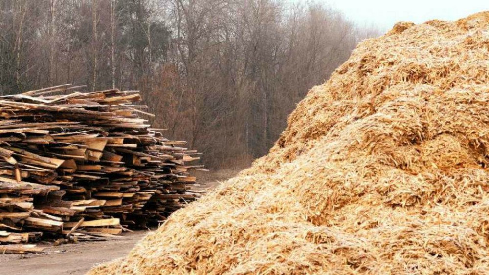 Por falta de dinero caen proyectos de energía de biomasa forestal