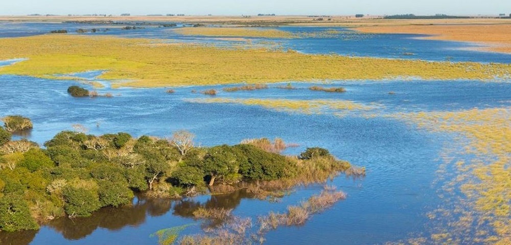 Diputados aprobó la creación del Parque Nacional Iberá