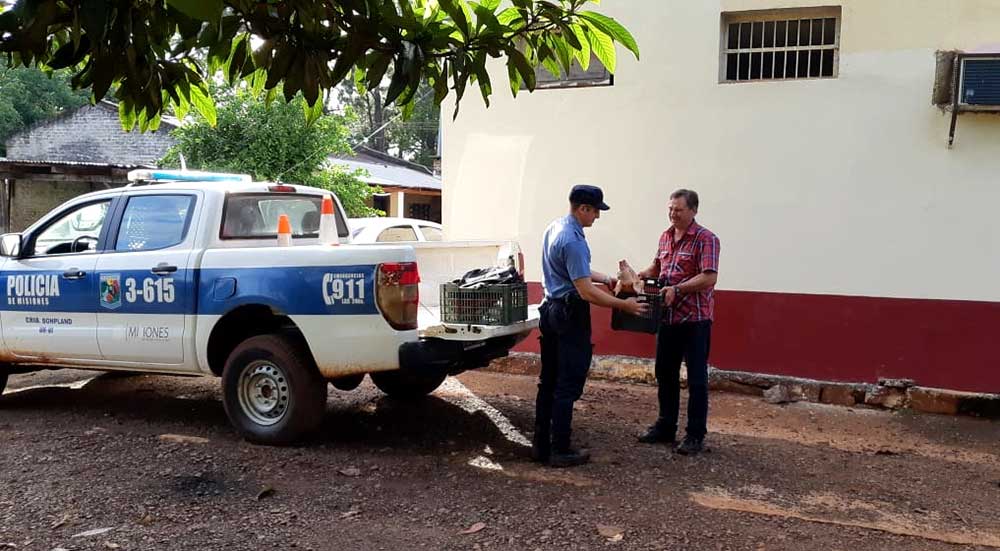 Lo buscan por intentar quedarse con el lechón de Navidad del vecino