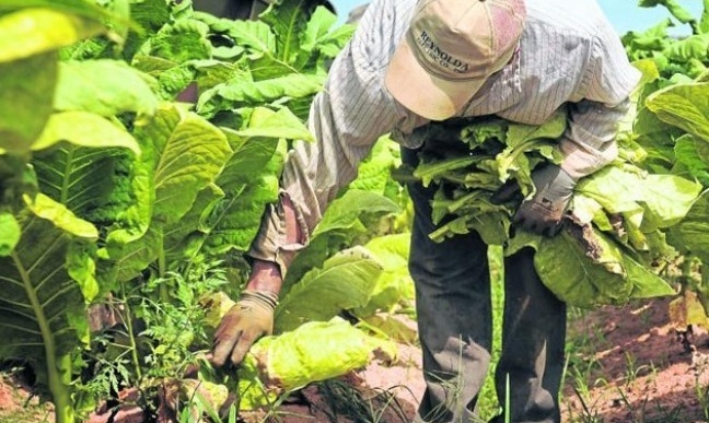 La Nación no reglamentó el monotributo especial