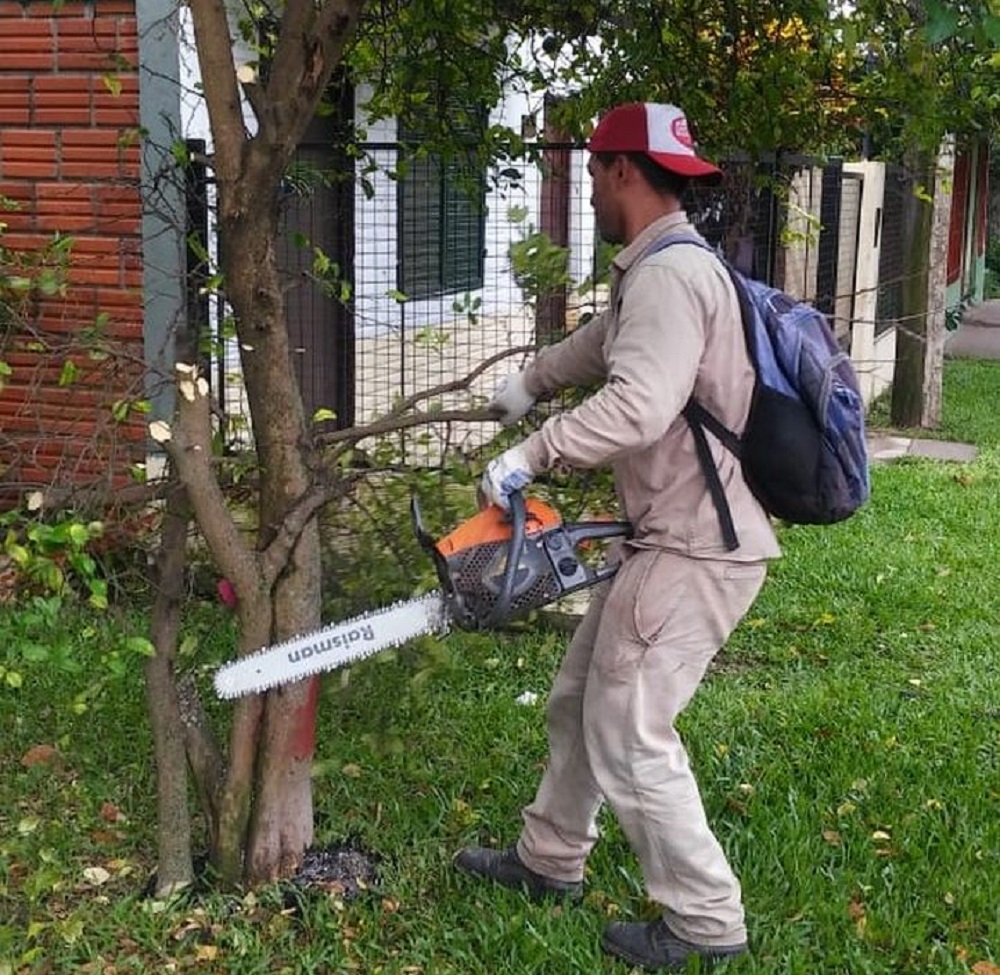 Destruyen plantas con HLB en Ituzaingó