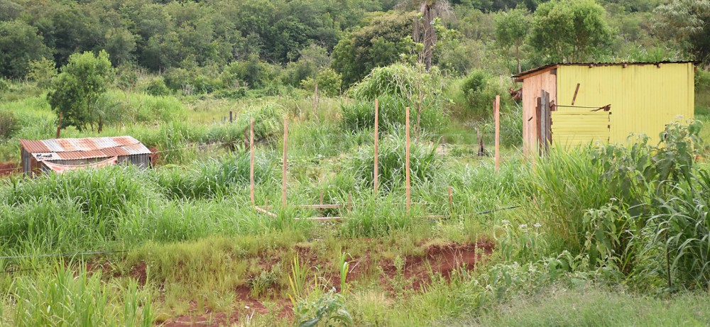 Villa Stemberg: aún quedan unas 15 familias en el predio ocupado en 2018