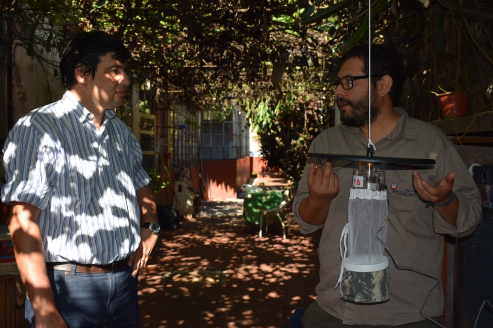 Dengue: municipio instaló trampas para atrapar mosquitos y determinar si están infectados