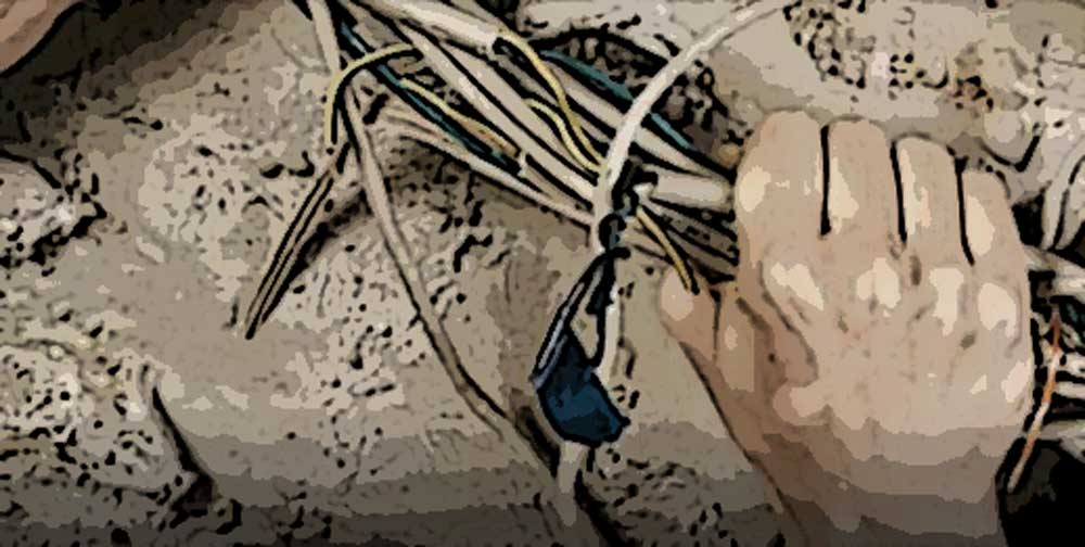 Recibió descarga eléctrica y falleció