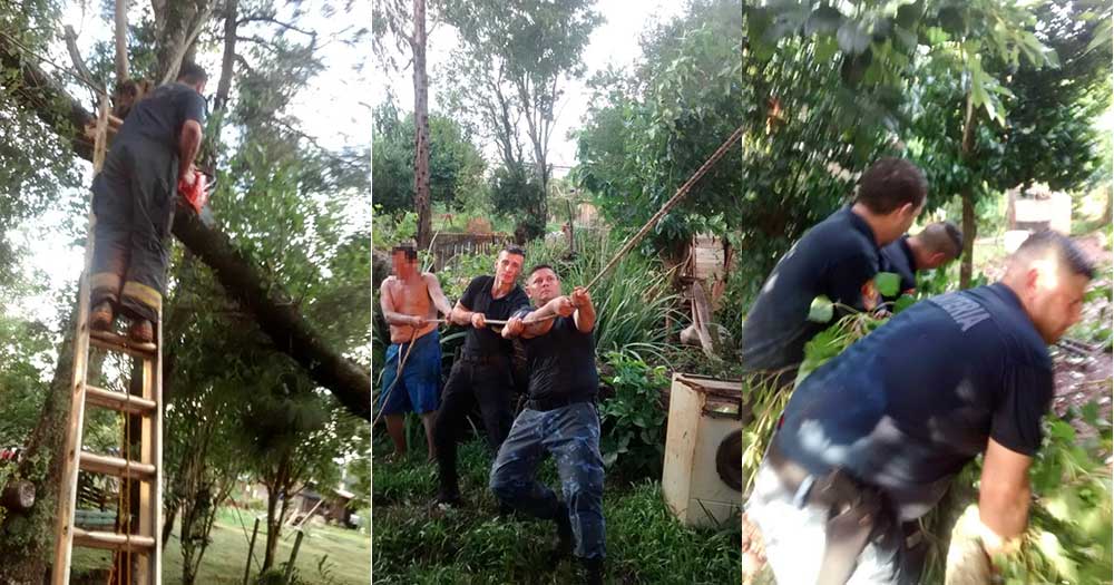 Policías asistieron a vecinos de Jardín América tras el temporal