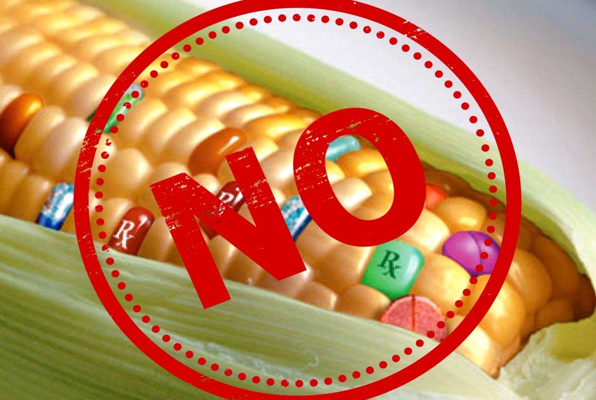 Se multiplica el rechazo a transgénicos y piden más impulso a la agroecología