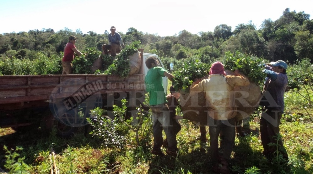 La Provincia pagará con fondos propios el subsidio interzafra
