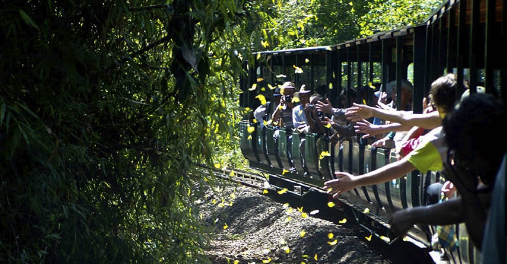 Instan a no llevar mascotas a los parques nacionales
