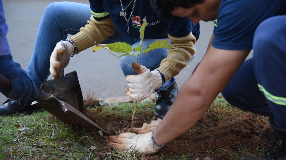 Informan a viveros sobre el Plan Forestal Urbano en Posadas