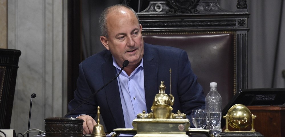 El Senado elige autoridades y Pinedo será ratificado como presidente provisional