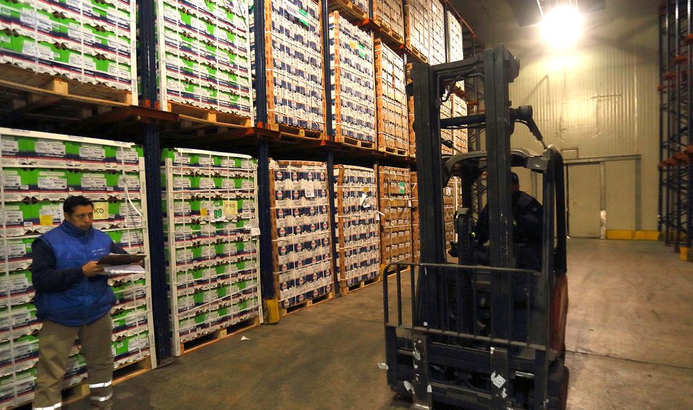 Brasil cerró el ingreso de peras y manzanas argentinas