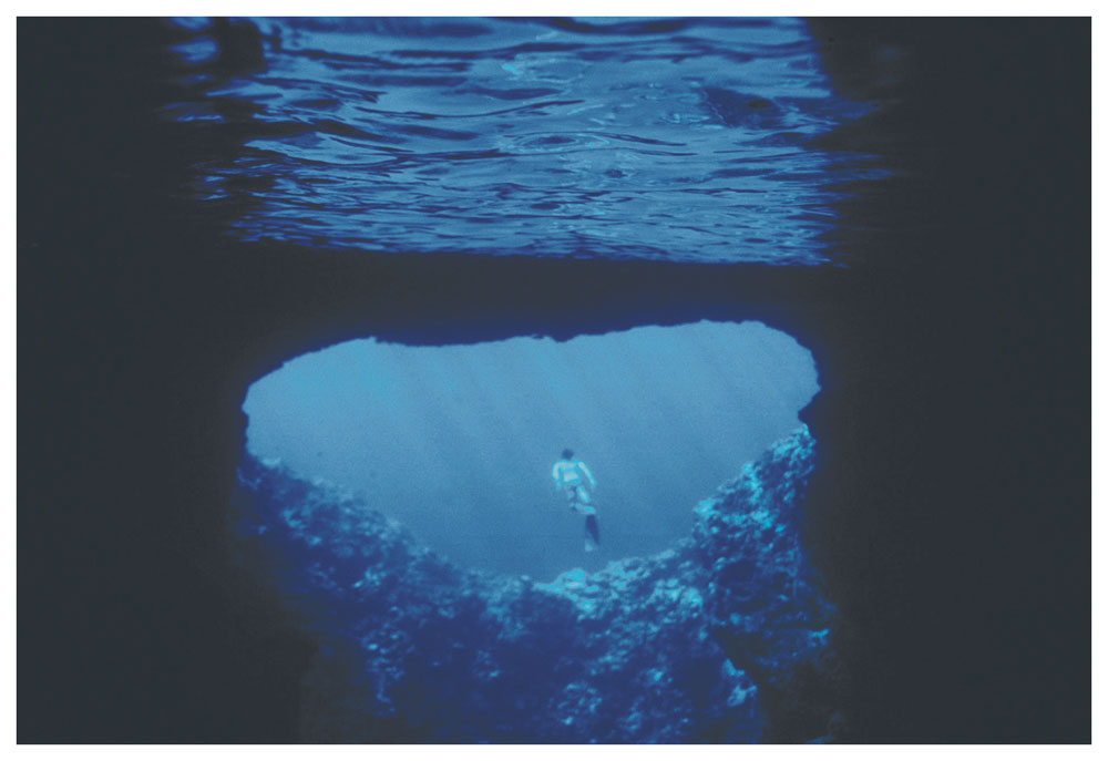 Iguazú hace temporada