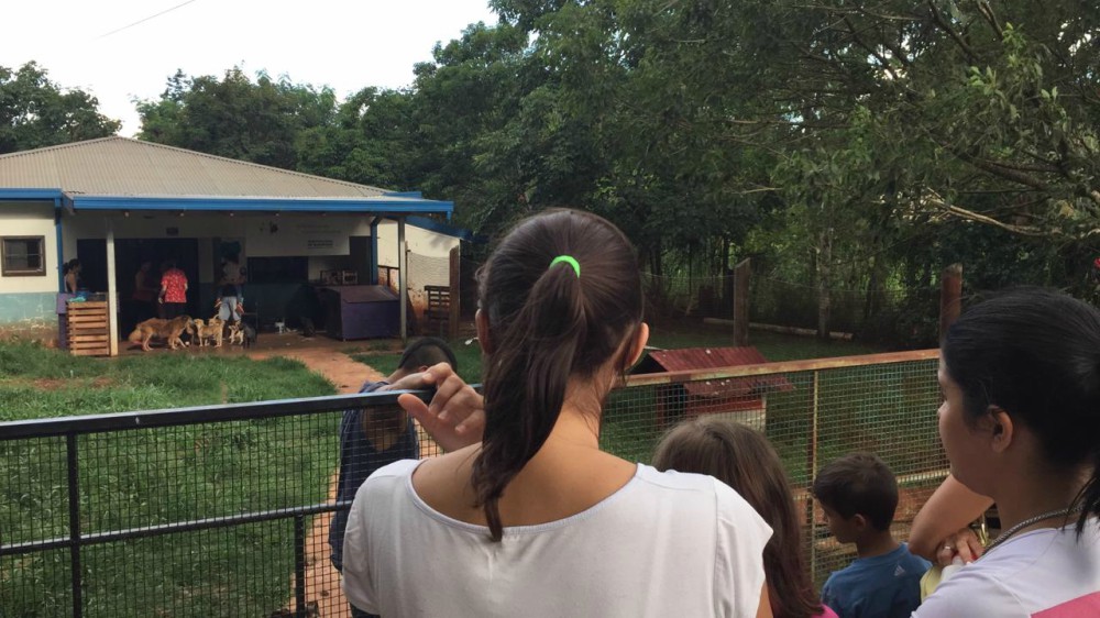 Eldorado solidario, 32 animales del Centro de Zoonosis ya tienen hogar