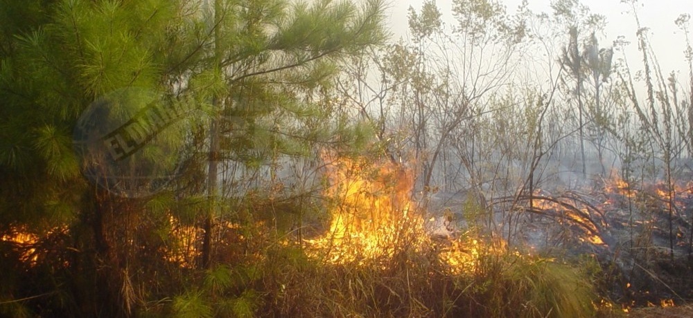 En el norte y centro de Misiones hay peligrosidad extrema de incendios