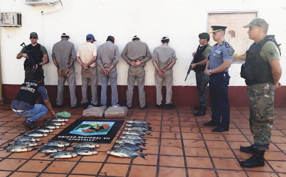 Empleados infieles robaban pacú de la empresa y lo vendían más barato