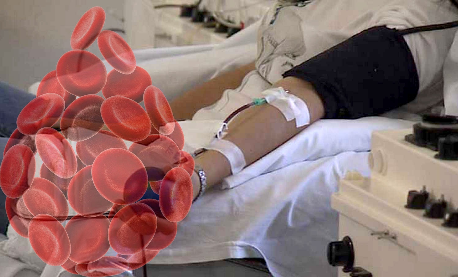 Oberá, una comunidad unida por la donación de células madres