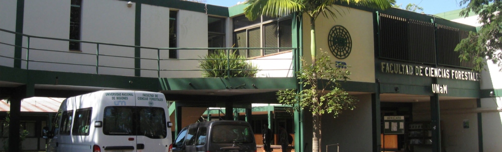 Acreditan por seis años la carrera de Ingeniería Forestal