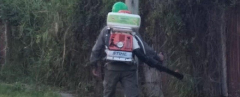 Detectaron el primer caso de dengue en Corrientes Capital