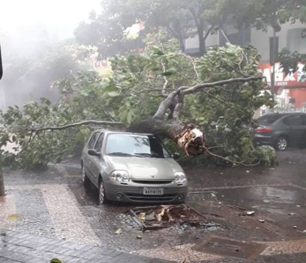 Feroz temporal causó estragos en Foz de Iguazú