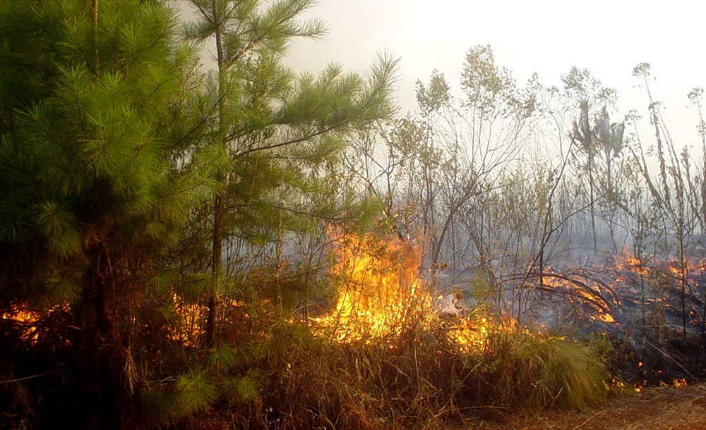 “Por ahora están totalmente prohibidas todas las quemas”