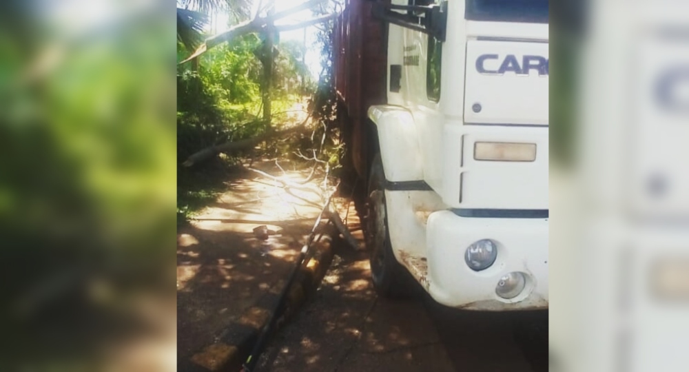 Murió empleado municipal que se había accidentado mientras podaba