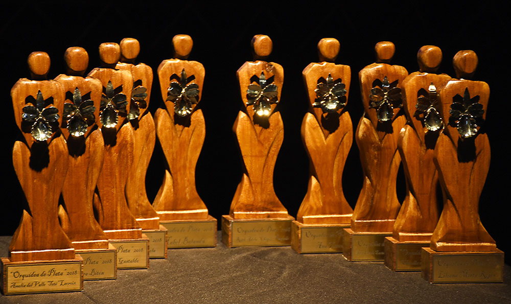 En el Día de la Mujer, 10 misioneras recibirán la “Orquídea de Plata 2019 ”