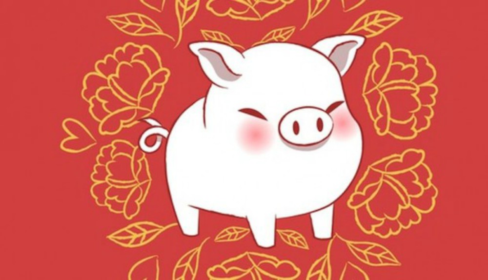 Un año de fertilidad