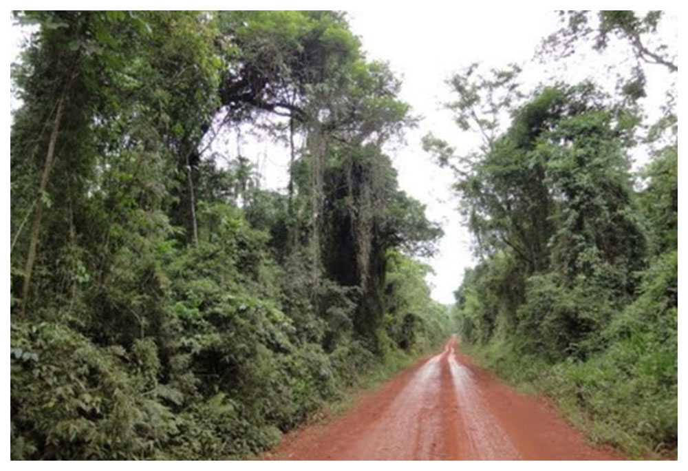 Yacuy Parque Provincial